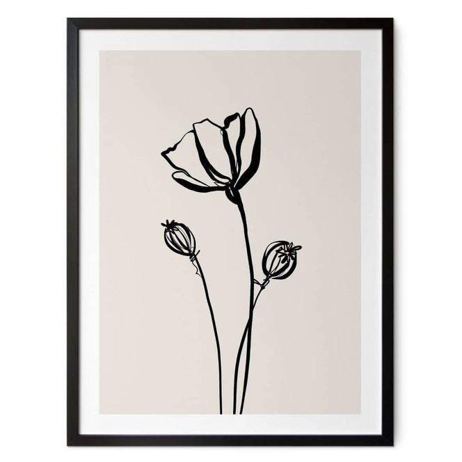 Poster Line Art Mohnblume - Cats & Dotz