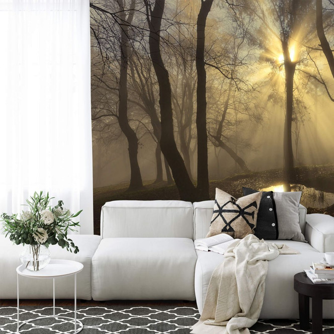 Fototapete Cuadrado - Light - 432x260cm - Bild 1