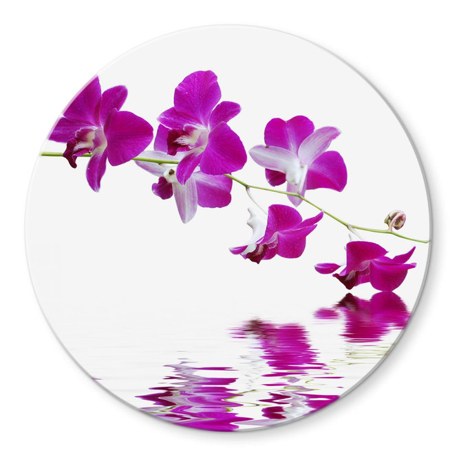 Glasbild Blütenzweig - rund