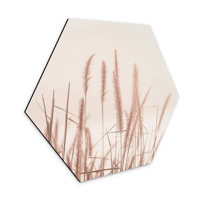 Hexagon - Alu-Dibond Gräser am See