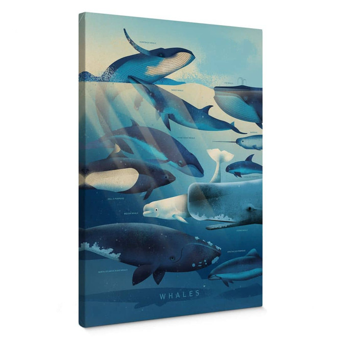 Leinwandbild Braun - Whales