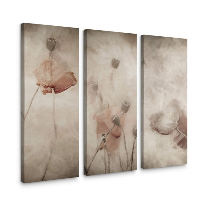Leinwandbild Claes - Mohnblumen - 3x 30x80cm - Bild 1