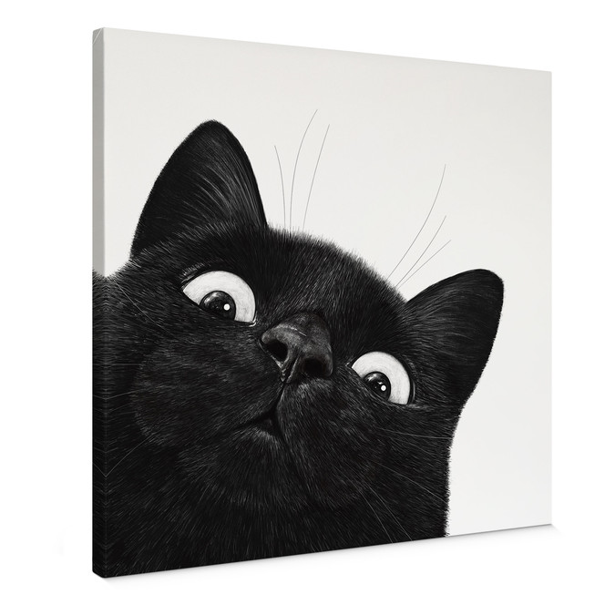 Leinwandbild Lustige schwarze Katze - Korenkova - Quadratisch