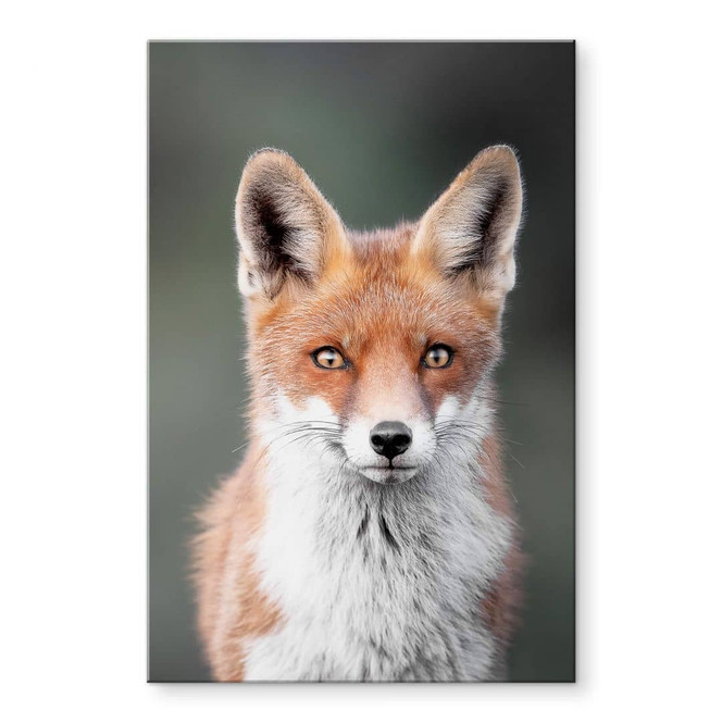 Acrylglasbild van Duijn - Fuchsaugen