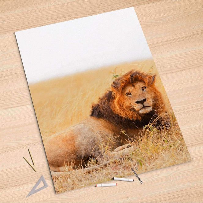 Folienbogen (100x150cm) - Lion King- Bild 1