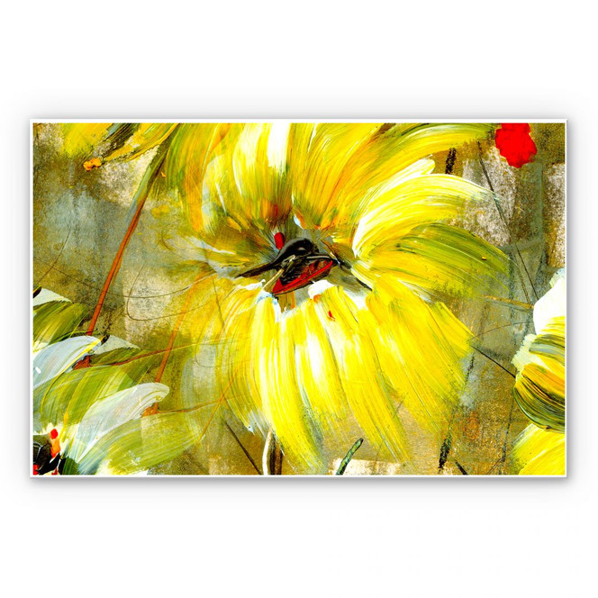 Wandbild Niksic - Der Raum voller Sonne und Freude