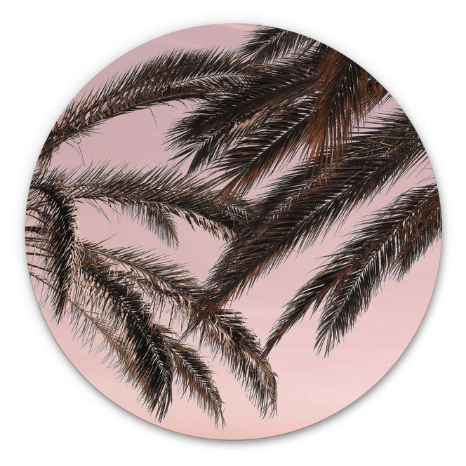 Alu-Dibond 1X Studio - Palmen - Rund