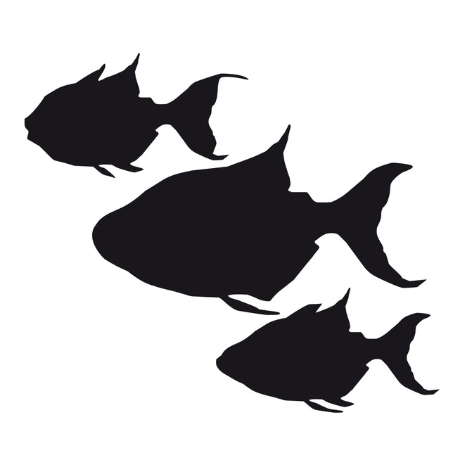 Glasdekor Drei Fische - Bild 6