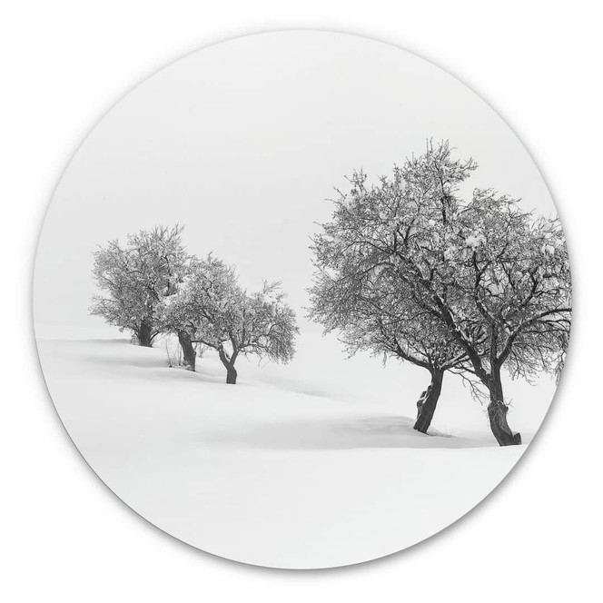 Alu-Dibond Carrillo Lopez - Weisse Landschaft - Rund
