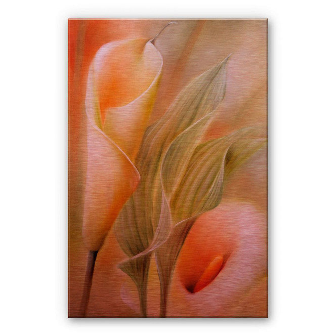 Alu-Dibond Bild mit Kupfereffekt Schmucker - Callas