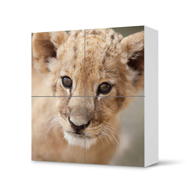 Klebefolie IKEA Besta Schrank 4 Türen - Simba- Bild 1