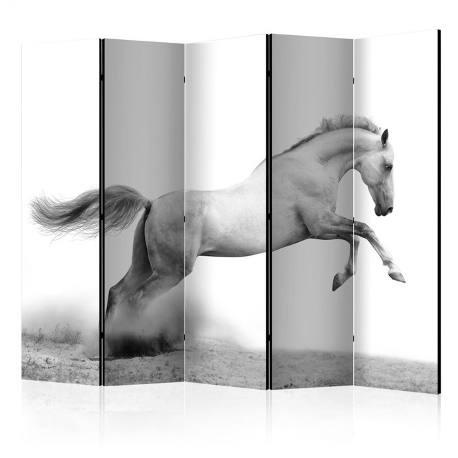 Paravent, Raumteiler freistehend, Trennwand - Weisser Galopp, 5-teilig - 225 x 172 cm