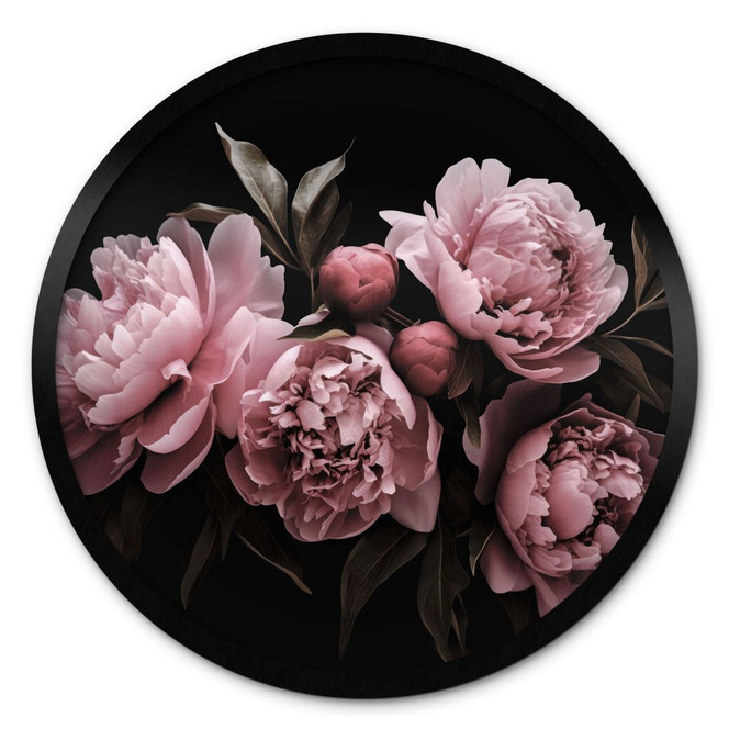 Poster Pfingstrose rosé - Haase - Rund