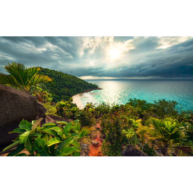 Fototapete Garten der Versuchung