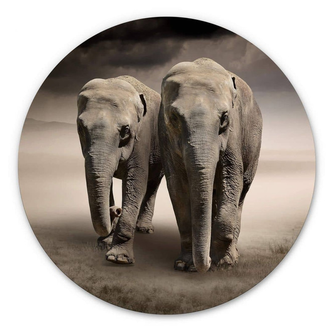 Alu-Dibond Die Elefanten - Rund