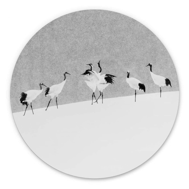 Alu-Dibond Marchegiani - Kraniche in einer Schneelandschaft - Rund