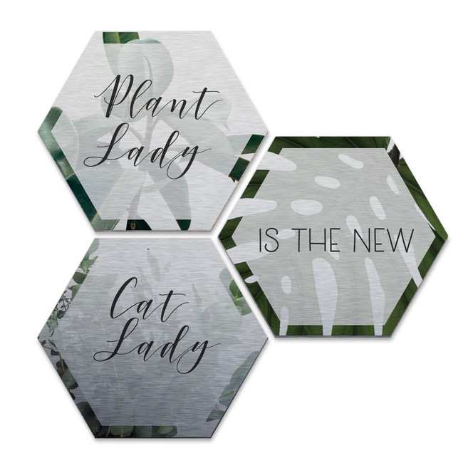 Hexagon - Alu-Dibond-Silbereffekt - Plantlady is the new Catlady (3er Set)