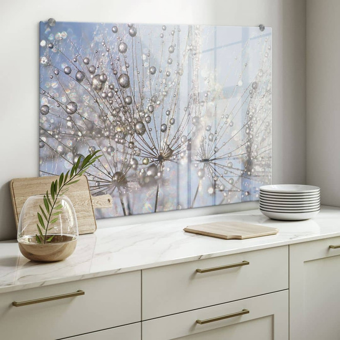 Spritzschutz Delgado - Wassertropfen in der Pusteblume