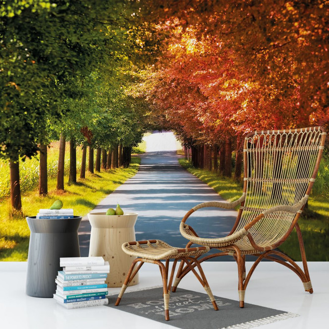 Fototapete Herbst - 336x260cm - Bild 1