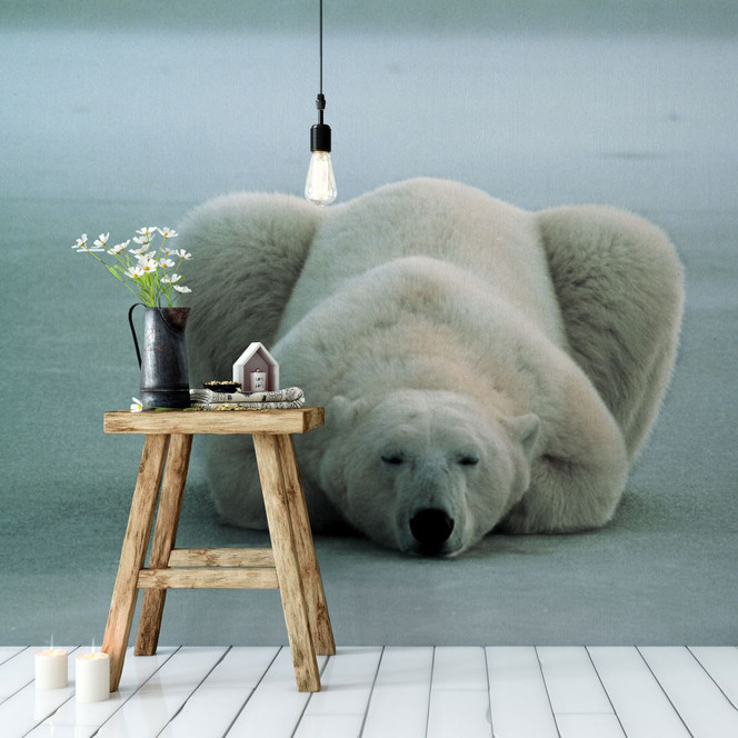 Fototapete NG Eisbär schlafend - 336x260cm - Bild 1
