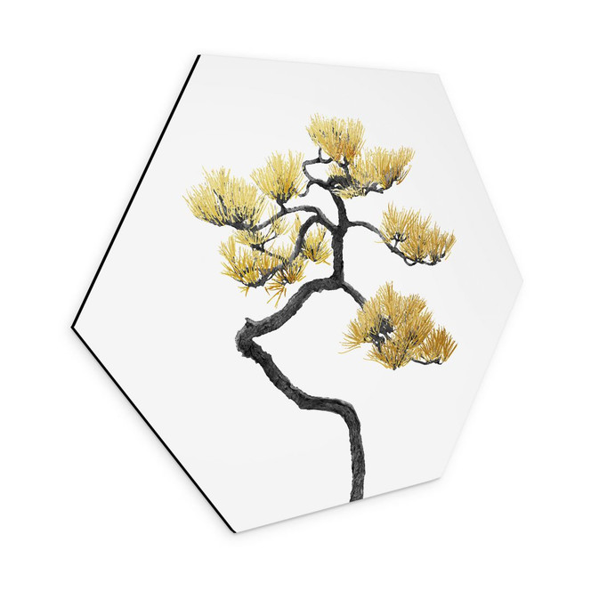 Hexagon Wandbild Bonsai in Balance - Amini - Alu-Dibond