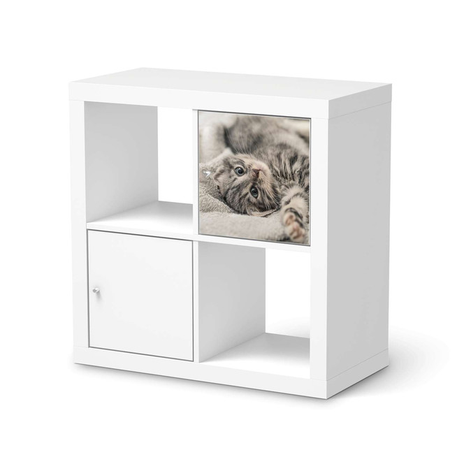 Klebefolie IKEA Expedit Regal Tür einzeln - Kitty the Cat- Bild 1