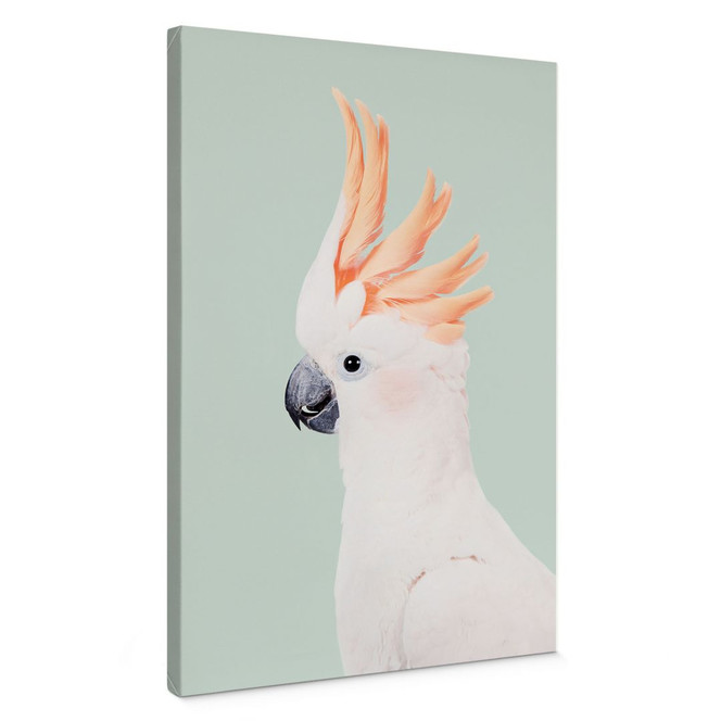 Leinwandbild Tierporträt Rosa Kakadu - Sisi & Seb