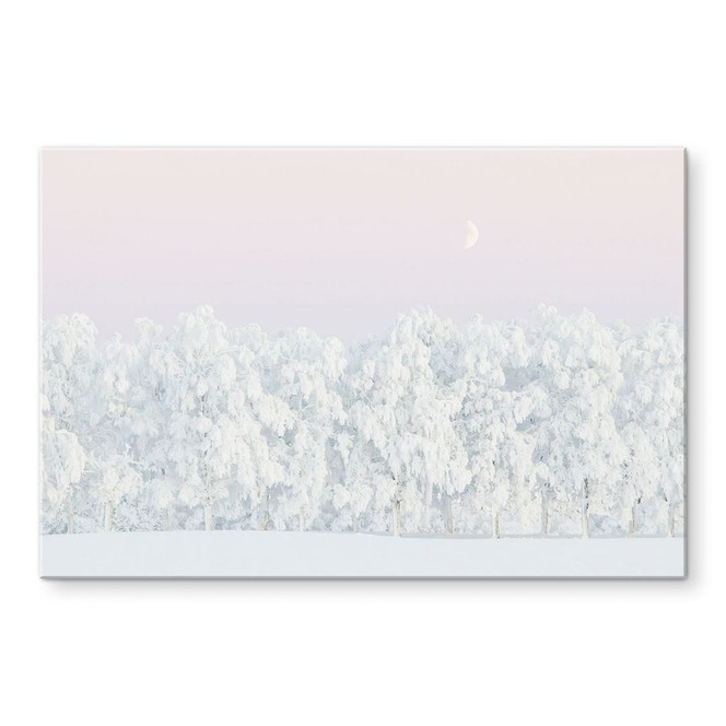 Acrylglasbild Verschneiter Winterwald mit Mond - EMELIEmaria