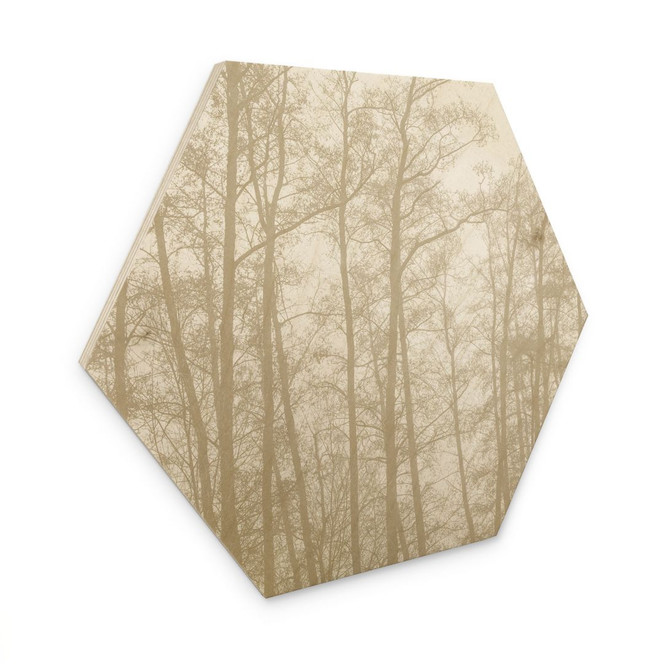 Hexagon Holzbild Stiller Winterwald - Böhmer