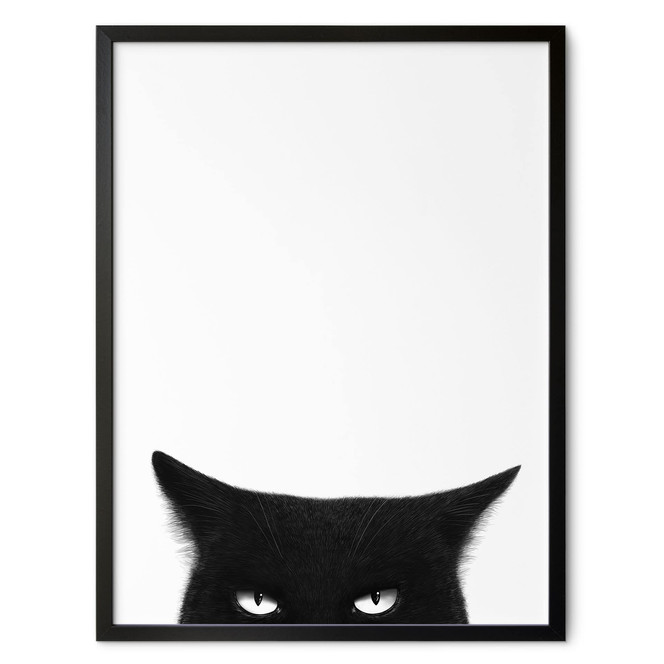 Poster Blick einer schwarzen Katze - Korenkova