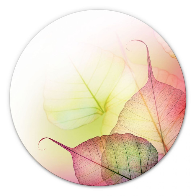 Glasbild Pink Design - rund