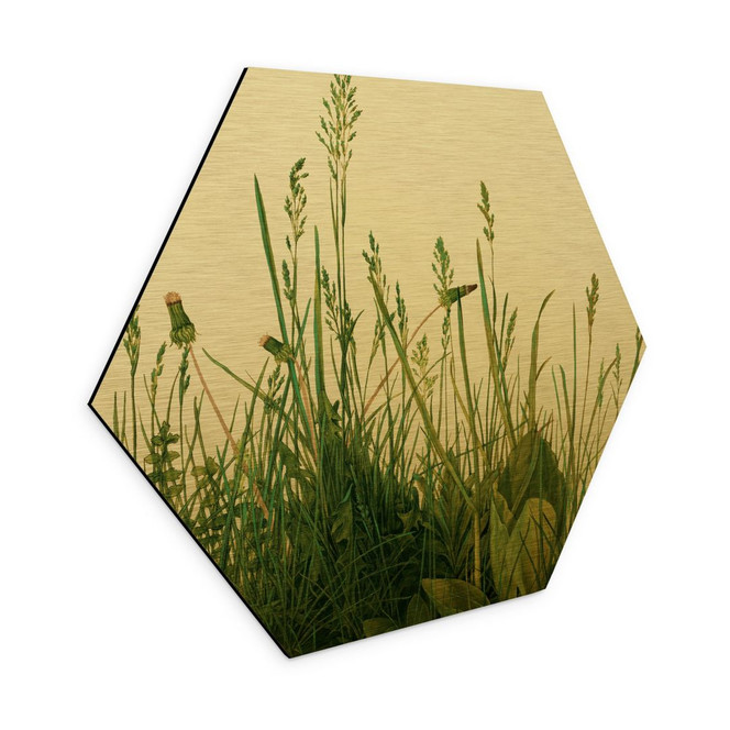 Hexagon - Alu-Dibond Gold - Dürer - Das grosse Rasenstück