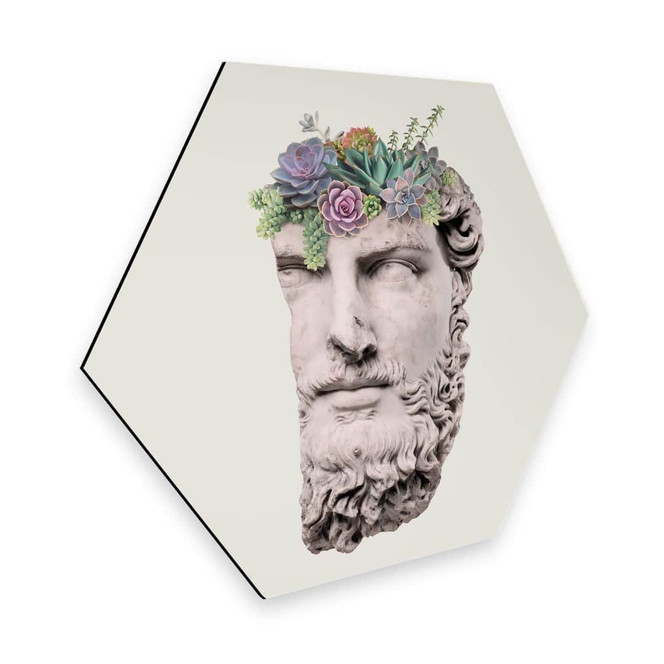 Hexagon - Alu-Dibond Loose - Succulent Sculpture