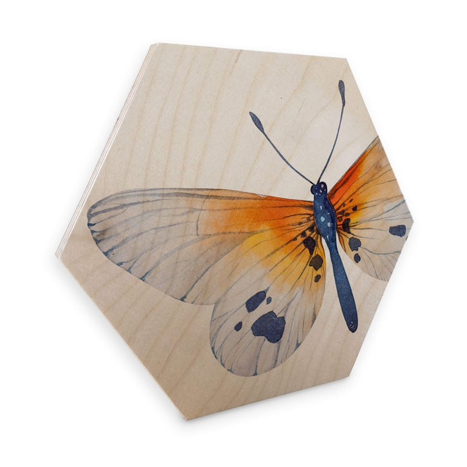 Hexagon - Holz Birke-Furnier - Kvilis - Schmetterling 02