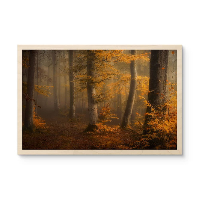 Holzbild Goldene Blätter im nebligen Wald - Maier