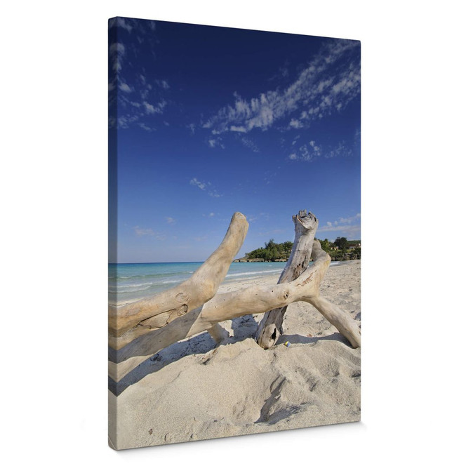 Leinwandbild Treibgut
