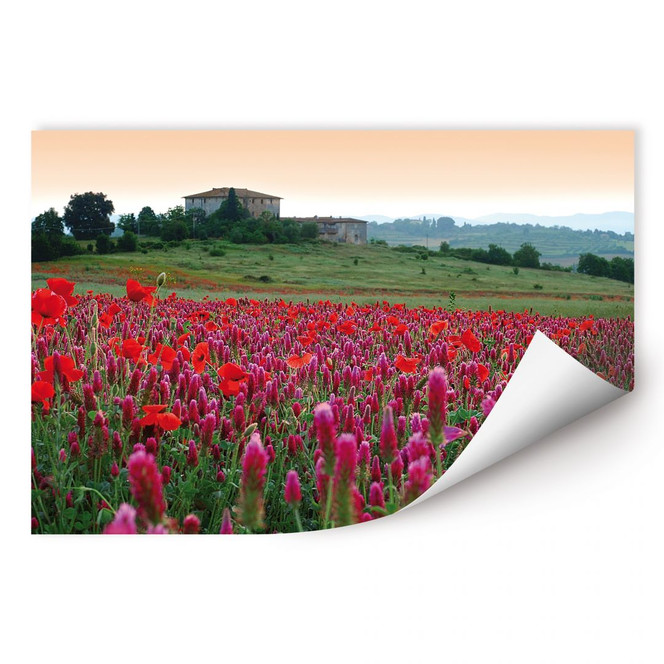 Wallprint Blumenwiese Toskana
