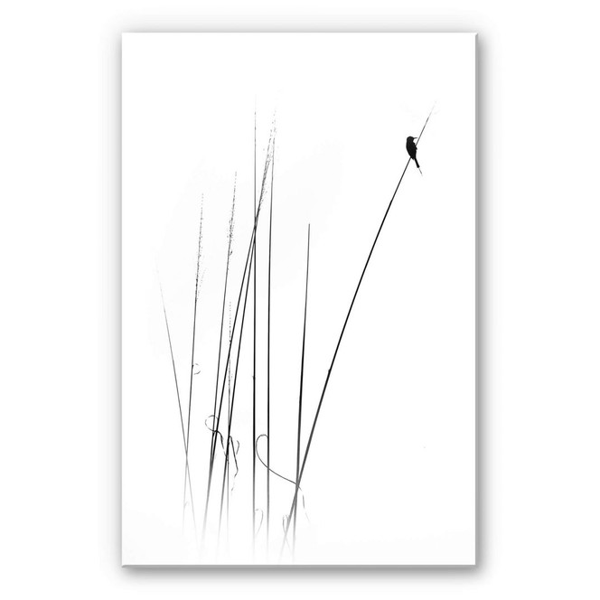 Acrylglasbild Swapnil - Auszeit