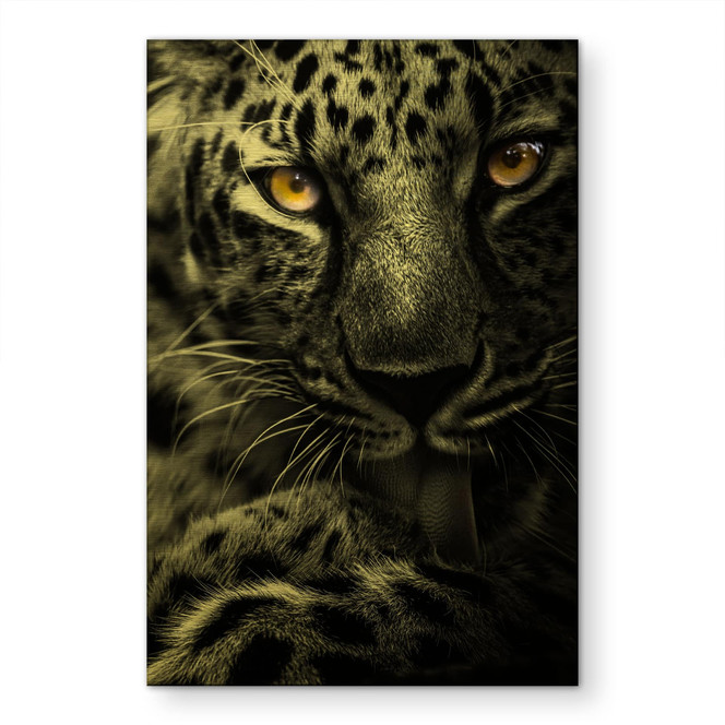 Alu-Dibond gebürstet mit Goldeffekt - Leopard mit intensivem Blick - Maron Photography