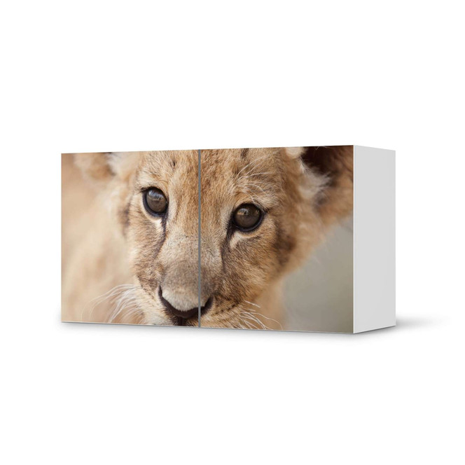 Folie IKEA Besta Regal 2 Türen (quer) - Simba- Bild 1