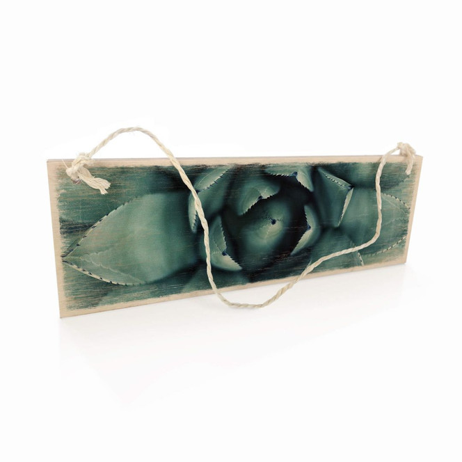 Holzschild Agave 02