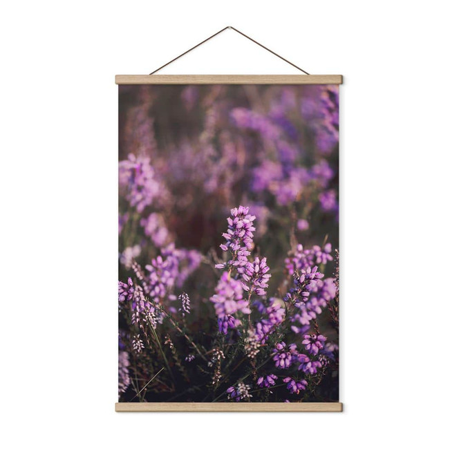 Stoffbild Lila Heideblüte im warmen Licht - Annie