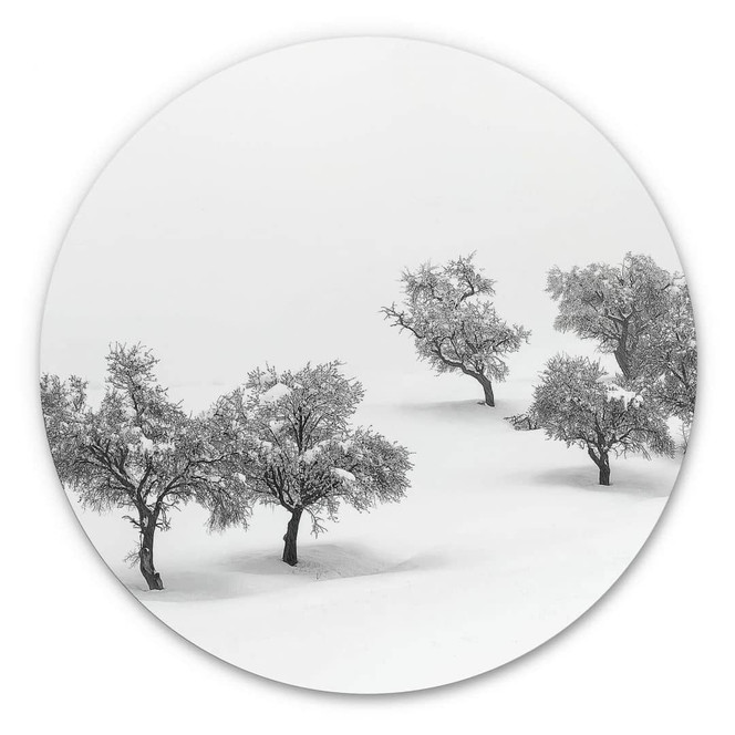 Alu-Dibond Carrillo Lopez - Weisse Landschaft mit Bäumen - Rund
