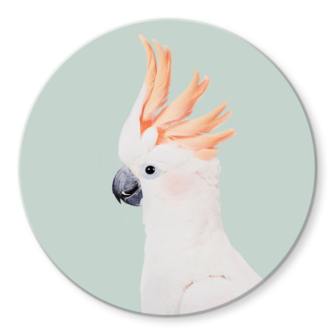 Glasbild Tierporträt Rosa Kakadu - Sisi & Seb - Rund