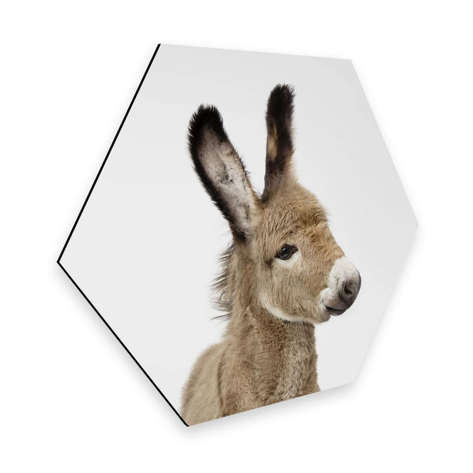 Hexagon - Alu-Dibond Sisi & Seb - Baby Esel