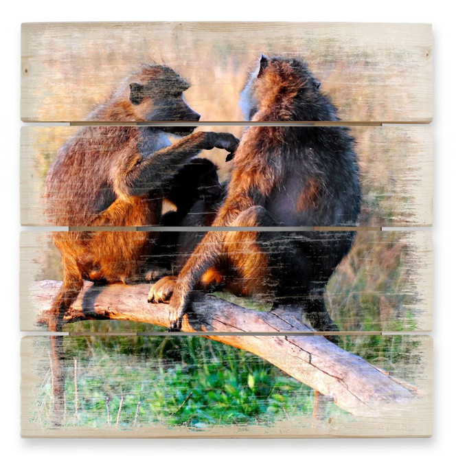 Holzbild Affenbande - 40 x 41.5 cm