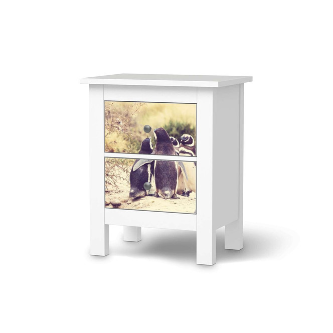 Möbelfolie IKEA Hemnes Kommode 2 Schubladen - Pingu Friendship- Bild 1