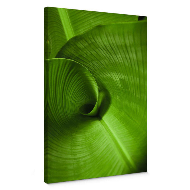 Leinwandbild Bananenblatt