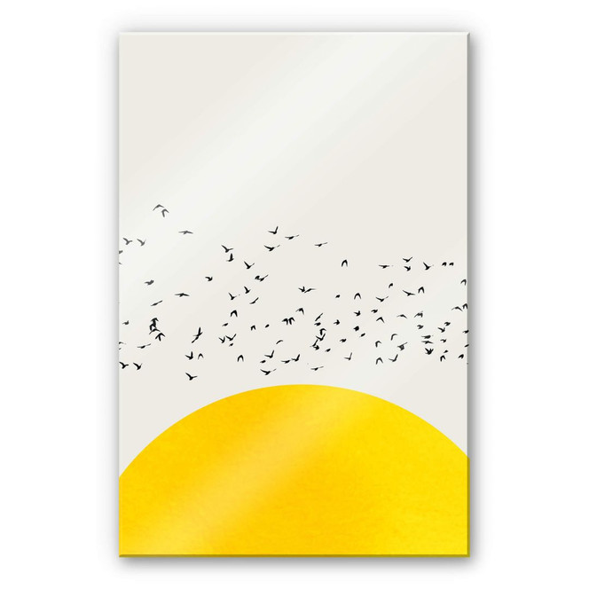 Acrylglasbild Kubistika - Tausende Vögel
