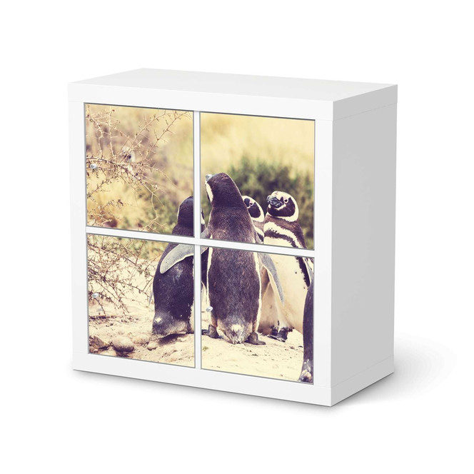 Möbelfolie IKEA Expedit Regal 4 Türen - Pingu Friendship- Bild 1